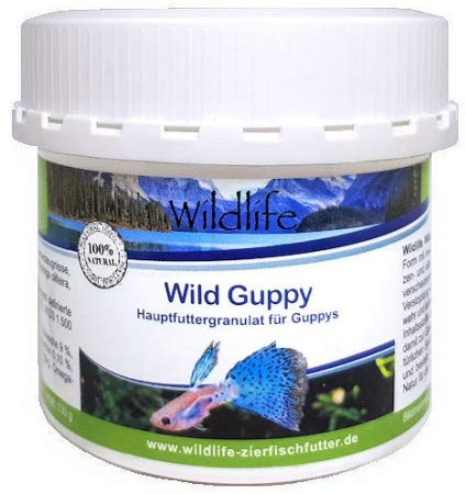 WILDLIFE Wild Guppy Hauptfutter speziell für Guppys, 130 g
