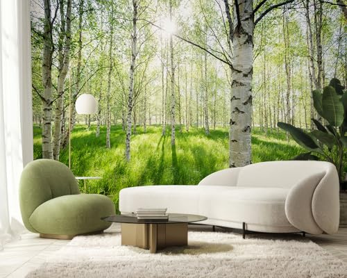 PaxGloz Fototapete Birkenwald Grüner Wald Tapete Frühlingswald Tapeten Vliestapete Modern Wandtapete Wohnzimmer Schlafzimmer Kinderzimmer Wanddeko Motivtapeten 450 x 315 cm (B x H)