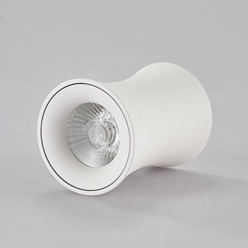 Faretto da soffitto Moderno, faretto da Superficie per Interni, Lampada monopunto, Lampada da soffitto Geometrica a LED da 15 W, faretti da soffitto per Soggiorno, corridoio/Bianco 3000K