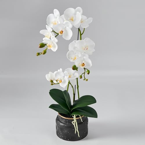 Avoeco Artificial Real Touch Orchid Plant – 20″ Faux Phalaenopsis in Pot – Highly Realistic Silk Orchid Flower & Leaf Texture for Home, Office,Shop & Wedding Décor (1 White, 20”)