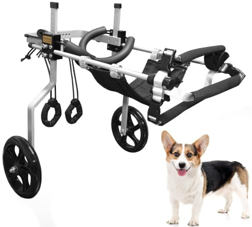 KAJILE Verstellbarer 2-Rad-Hunderollstuhl, M-2 Größe für behinderte Hunde Hinterbeine Rehabilitation, geeignete Höhe 30-38cm, Breite 17-22cm, Länge 20-28cm