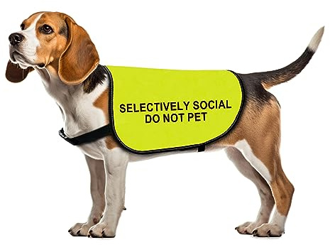 Social Anxiety Dog Jacket Vest Selectively Social Do Not Pet Jacket Dog Walking Slogan Warning Vest (Selectively Social -Medium)