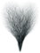 MIMIKRY Brusthaartoupet Brustbehaarung Brustfell Brusthaare Wolfsmensch Werwolf Wolf Monster Schlager-Star, Farbe:Schwarz