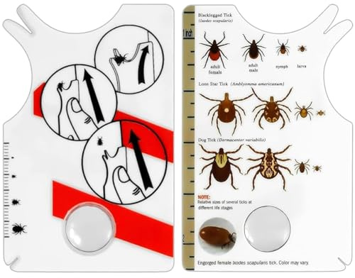 Tick Card, Tick Card with Magnifying Glass, Tick Card for Human, Dog, Cat, Tick Card Children, Quick and Gentle Remove Ticks from Pets or People, for Humans, Children, Dogs, Cats, Pack of 2