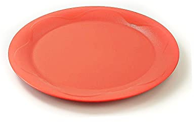 Tupperware Junge Welle Picknickteller groß orange