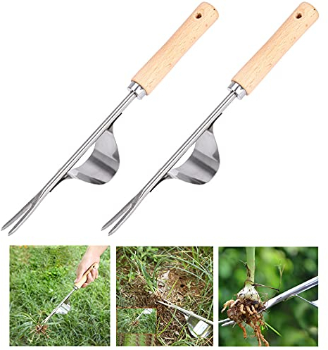 behone 2 Stück Edelstahl Unkrautstecher mit Naturholzgriff, Garten Manueller Weeder Wurzeljäter Hand Weeder Jäter Werkzeug Unkrautjäter Wurzeljäter mit Naturholzgriff zum Jäten Ihres Gartens