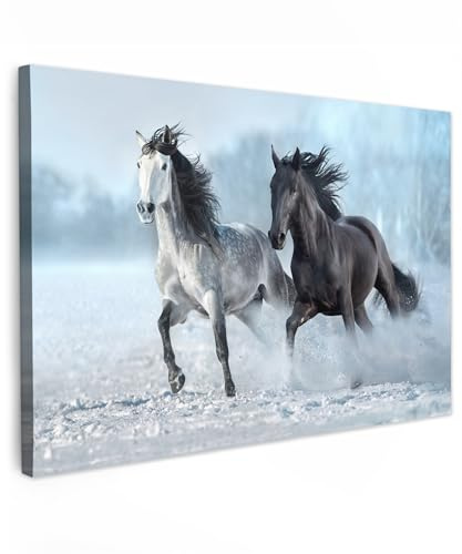 MuchoWow© Cuadros Decoracion Salon Modernos Dormitorios Cuadro Decorativos | 60x40 cm - de Lienzos Decorativo Decoración Cabecero Cama Caballos - Invierno - Animales - Naturaleza