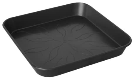 GROWMANIA Pack de 5 Platos Cuadrado para Macetas 29x29 - Plato Plástico para Maceteros