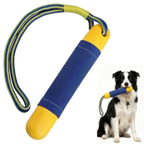 Generisch Wasserspielzeug Hund Schwimmender Hundedummy Interaktives Spielzeug für Hunde mit Seil Hunde Spielzeug für Strand Pool Wurf und Apportierspiele an Land und im Wasser (25CM)