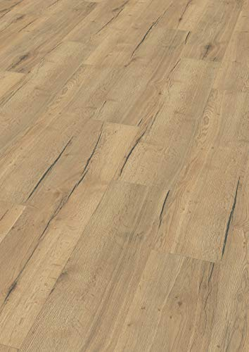 EGGER Home Laminatboden EHL106 Creston Eiche natur (8mm, 2,542m²) | authentische Holzoptik | | Einfache Verlegung durch CLIC It! System | Praktisch & wertbeständig