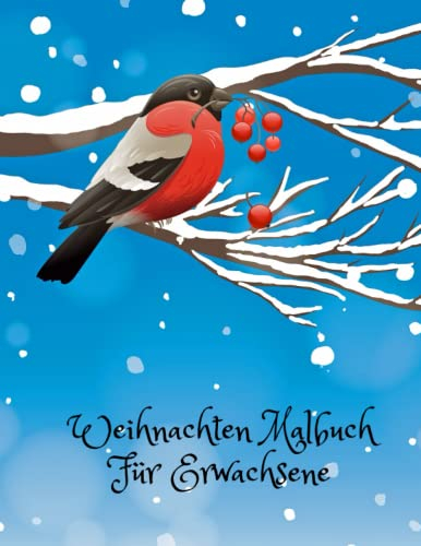 Weihnachten Malbuch Für Erwachsene: Schöne Weihnachtliche Winterszenen / Malbuch zur Entspannung / Winter Malbuch Erwachsene