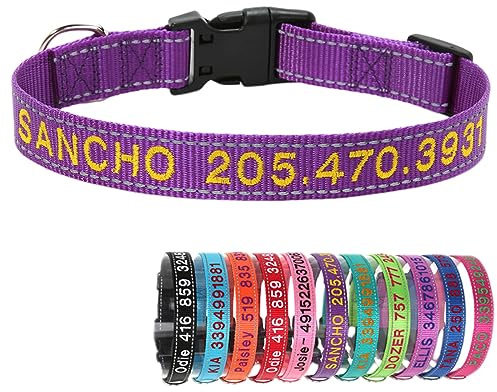 Reflektierend Nylon Hundehalsband Personalisiert mit Individuell Gesticktem Namen und Telefon für Große Mittlere Kleine Hunde Welpe