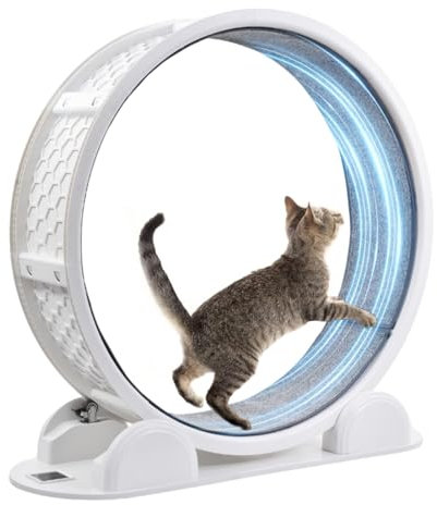 Katzenlaufrad Großes Laufrad für Katzen 103.8cm, Solar Ladungs Katzenübungsrad mit Schrittzähler, Lautlose Katzenläufer Katzen Trainingsräders für Innenkatze, Kätzchen Üb