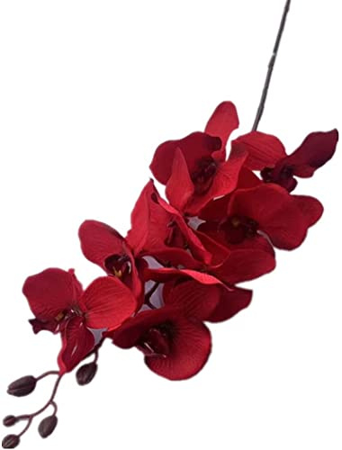 Gladiolus garden 5pcs Faux Butterfly Orchid Flower Branch 8 Heads Artificial Moth Phalaenopsis Plant 105cm Long for Wedding Centerpieces Floral Arrangement (red)