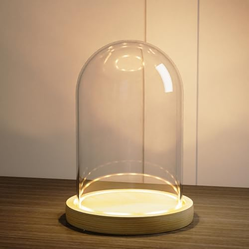 Nynelly Glasglocke mit LED Holzboden, Glaskuppel Deko 11,5 cm x 17,5 cm, Transparent Glasglocke Glashaube Glasvitrine für Puppen, Figuren, Pflanzen, Sammlerstücke, ideale Geschenke