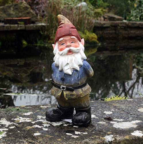 Traditonal Curious Gnome Garden decoration, garden gnome