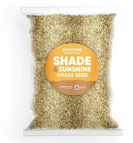 Ivisons Shade & Sunshine Grass Seed | Premium Mix for Shady Areas | Produces a Lush Dense Green Lawn | Low Maintenance Slow Grow Quick to Establish Blend (2KG)