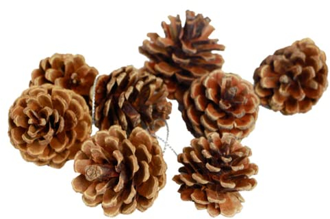 24 pieces of natural pine cones, Thanksgiving Christmas tree decorations, autumn and winter home pine cone decorations Christmas tree garland rattan decoration vase filling