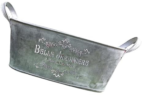 Ddujbtp Macetas de metal grandes de hierro a prueba de óxido, maceta de cubo de metal, estilo vintage para decoración, maceta de hierro vintage