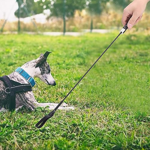 RASTKY Flexibel Svartförstärkt hund- och Träningspiska i Plast - Lätt, Träningsverktyg Effektiv Beteendehantering och Interaktiv Lek
