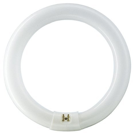 Crompton 60 W 240 V 16 Inch Diameter 840 [4000 K] Cool White Colour T9 Ring Triphosphor Fluorescent Lamp | 16 inch diameter, 4000k cool white light, triphosphor technology, bright energy efficient lighting for indoor use