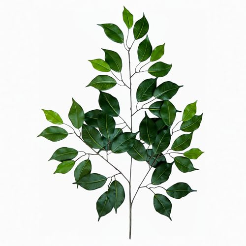 Seidenblumen Roß 12 Stück Ficuszweig 60cm grün mit 42 Blättern DA künstlicher Zweig Ficus Birkenfeige