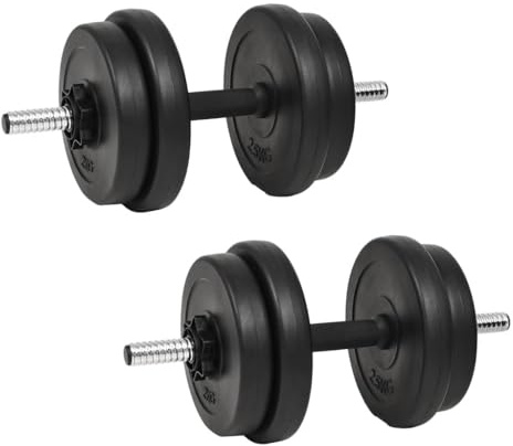 vidaXL Kurzhantel mit Gewichten 40 kg, Fitness Trainingsgerät, Kurzhantelstange mit Gewichten, Gewichtsscheiben, Hantelscheiben Set, Kurzhantelstange