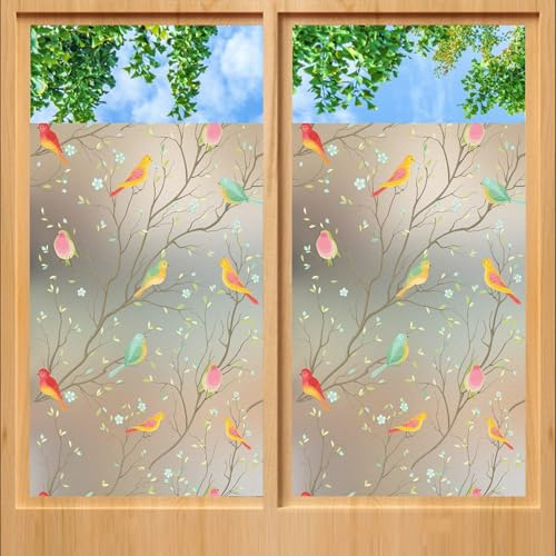 Película para Ventana 50 x 160 cm, Semi-Privacidad, sin Pegamento Electrostatica, Translucido Rayos UV, Vinilos Decorativos Ventanas, para Dormitorio Oficinas, pájaro Colorido