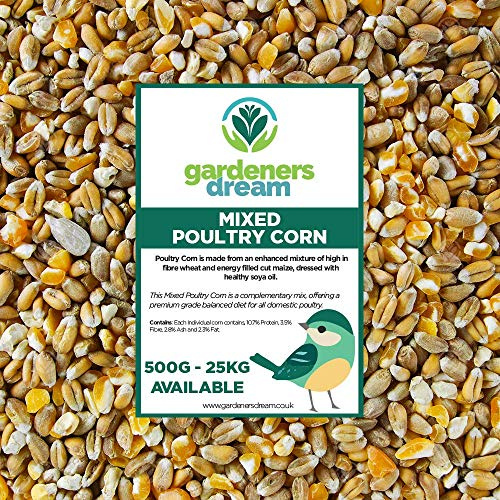 GardenersDream Mixed Poultry Corn | Premium Quality Natural Feed Mix | Rich in Vitamins and Calcium | Chicken Duck Geese Food | Helps Develop Strong Beaks, Tough Bones & Healthy Feathers (20kg)