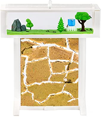 AntHouse - Ameisenfarm aus Sand | 3D Weiß T Kit 15x15x1,5 cm | Inklusive Ameisen