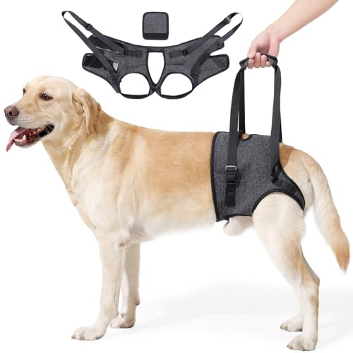 PAWIVID Verstellbares Hundegeschirr für Hinterbein–Stützgeschirr/Schlaufe mit Tragehilfe &Griff für Behinderte, Verletzte & ältere Kleine Mittlere Große Hunde–Mobilitätshilfe & Hebegurt (Grau, XL)