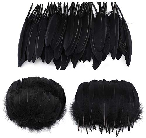MWOOT 250 Stück Bunte Federn, Gänsefedern, ideal als Dekoration zum Karnival für Halloween Fest Masken, Kostüme und Basteln für Kinder, Sicher und Ungiftig und Nicht verblassen