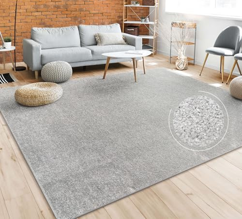 Paco Home Teppich Wohnzimmer Schlafzimmer Esszimmer Kurzflor Moderne Optik Einfarbig Pastell, Grösse:160x220 cm, Farbe:Silber