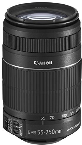 Canon EF-S 55-250mm f/4-5.6 IS II Teleobiettivo con Zoom, colore: Nero (Ricondizionato Certificato)