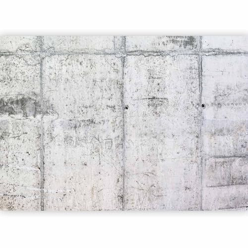 Fotomurales B&D XXL - 400x280 cm XXL Papel pintado tejido no tejido Decoración de Pared decorativos Murales moderna de Diseno Fotográfico Concreto f-A-0332-a-a