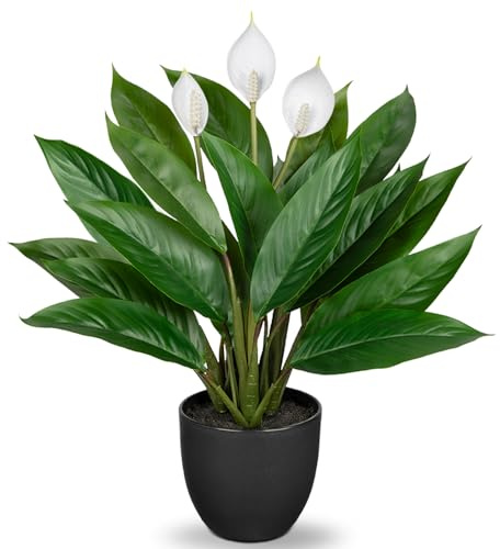Briful Künstliche Pflanze Wie Echt Kunstpflanze Dekopflanze Calathea Buschig mit 22 Blättern im Kunststofftopf Zimmerpflanze, Höhe 43cm, Grün