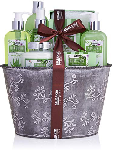 BRUBAKER Cosmetics Bade- und Dusch Set Aloe Vera - 9-teiliges Geschenkset im Vintage Pflanzkübel