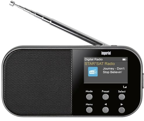 Imperial DABMAN 15 DAB Radio (DAB+/DAB/UKW, Digitalradio, Farbdisplay, Akku, Kopfhöreranschluss, Tastenbedienung) Grau Klein