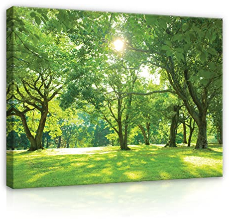 WallArena Leinwand Bilder 120x80 cm | Bäume Grün Wiese Garten Natur Wald, Leinwandbilder, Bild auf leinwand, Format: 120x80 cm (BxH) - einteilig auf