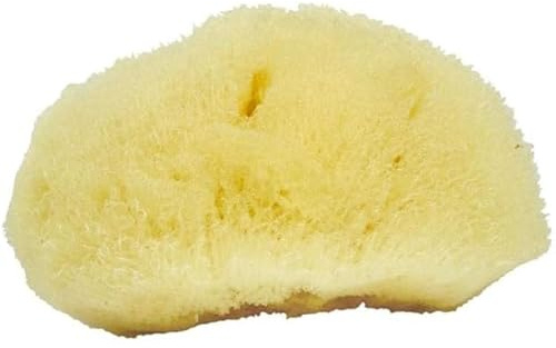 Sea Soft Silk Sponge - for Cosmetic Use, Facial Cleansing, 3-4 inches