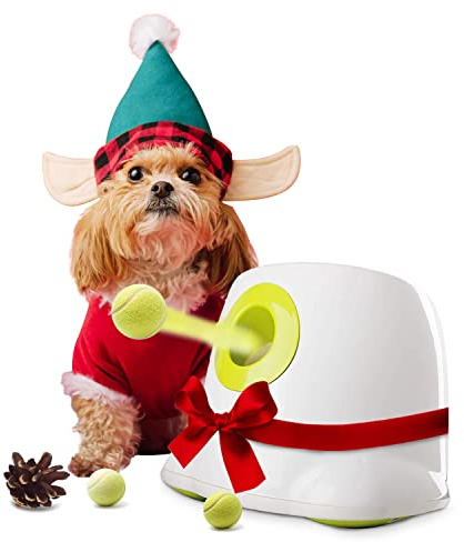 ALL FOR PAWS Automatischer Ballwerfer für Hunde – Interaktive Ballwurfmaschine mit 3Pcs 2 Tennisbällen, für kleine & mittlere Hunde, Hundespielzeug, Interaktives Hundespielzeug