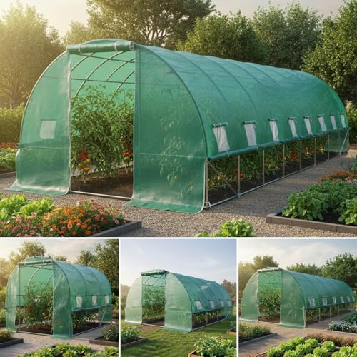 BRAST Serre de Jardin 24m2 (3x8), serre tunnel, parois enroulables - 4 tailles diff.- très stable: Tubes d’acier galvanisés et Film spéciale de 175 g/m2, aération optimale, serre de jardin tunnel