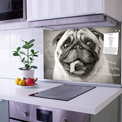 banjado Küchenrückwand Glas ohne Bohren 90x60cm – Glasrückwand Küche mit Motiv Mops Porträt/Spritzschutz Küchenrückwand Glas/selbstklebende Küchenrückwand Platte - magnetisch & beschreibbar