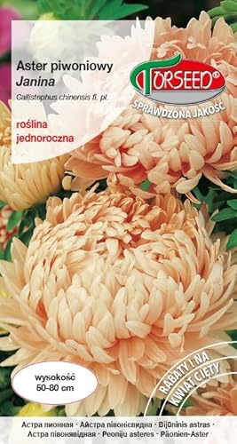 Verdica Janina - Semi di peonia Aster Aster piwoniowy 'Janina' - Splendidi fiori rosa salmone, ideali per aiuole e fiori recisi, altezza 50-80 cm