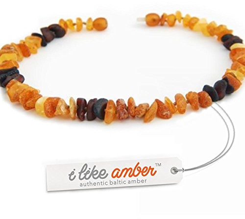 Bernsteinkette Hund, Bernstein Halsband Hund, Zeckenschutz Katze & Hunde, 100% Baltischer Bernstein roh aus Litauen