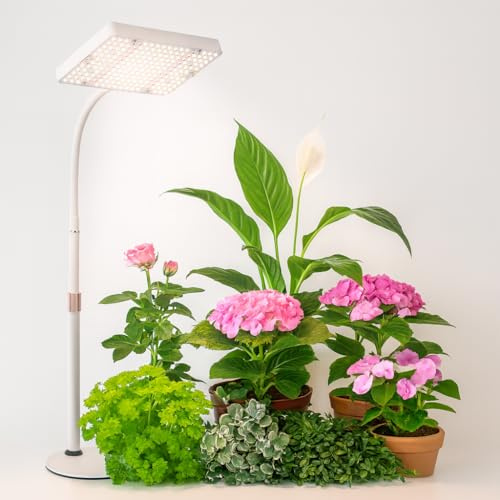 GroCruiser EU-Eurostecker Pflanzenlampe Schreibtisch LED Vollspektrum, 2000 Lumen UV-IR Vollspektrum Pflanzenlicht für Zimmerpflanzen, Wachstumslampe für Pflanzen, Daisy Chain Funktion