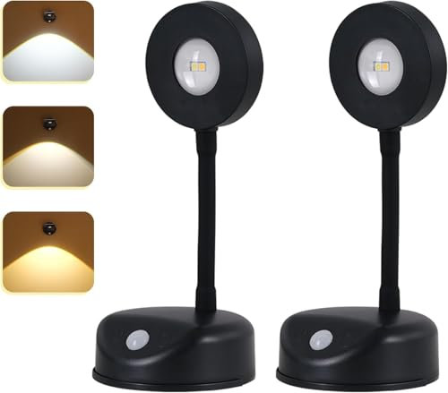 L&M LUJOMTL Luz de imagen inalámbrica que funciona con pilas, luz de pintura recargable de 1200 mAh con sensor de movimiento y tubo de luz giratorio (negro)
