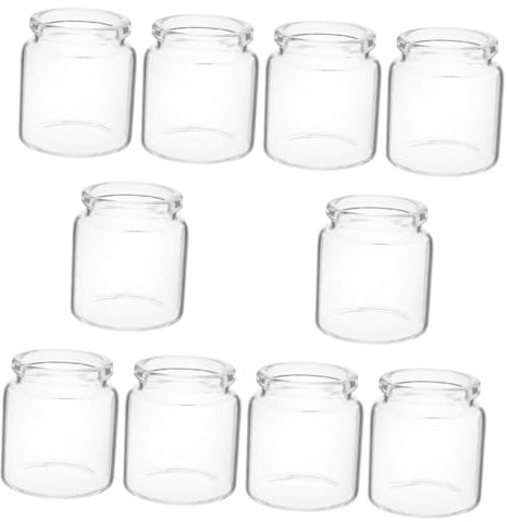 SUPVOX 10piezas Jarrones Mini Tubos Flores Botellas Decoración Propagación Suculentas