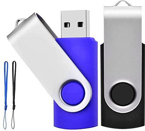 Lot de 2 Clé USB 2 Go USB 2.0 Mémoire Flash Drive Clef USB Pivotantes avec Cordes Bon Cadeau pour Enfant Parents et Amis (2G, Noir/Bleu)