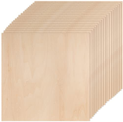 ZEONHAK Paquete de 20 hojas cuadradas de madera para manualidades, 25,4 x 25,4 cm, madera contrachapada de 3 mm para bricolaje